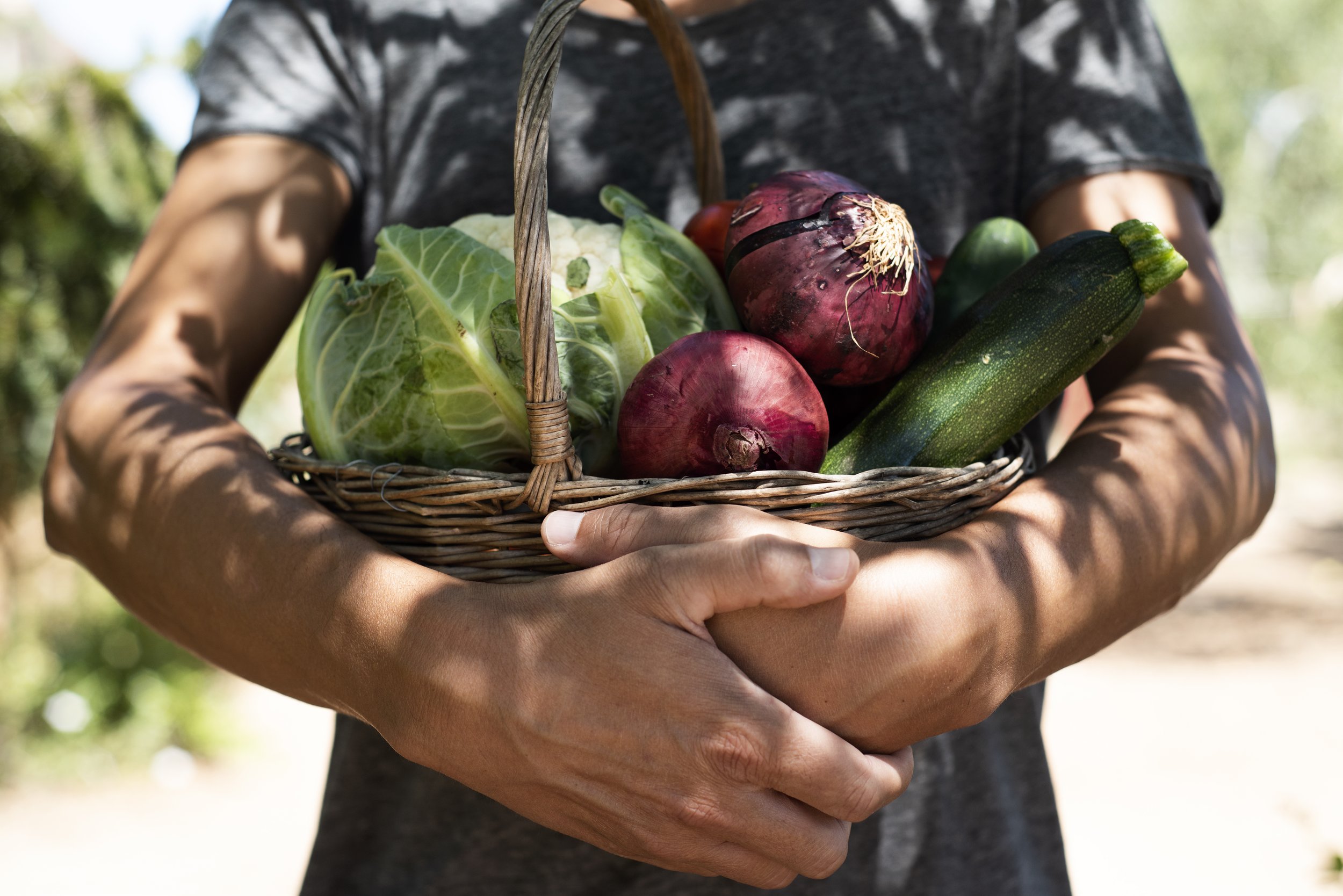 food-loss-and-waste-in-canada-the-actions-we-are-taking-now